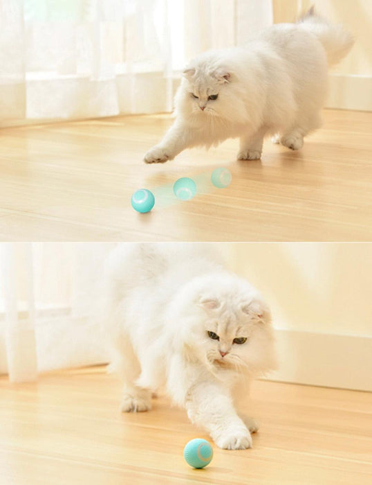 Electric Interactive Cat Toy for Indoor Play and Exercise