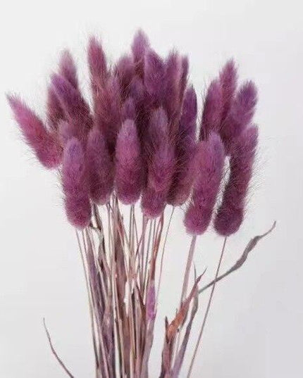 Rustic Boho Bunny Tail Dried Flower Arrangement for Weddings and Home Decor