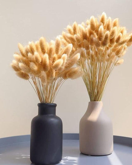 Whimsical Dried Bunny Tail Floral Arrangement - Elegant Home Decor