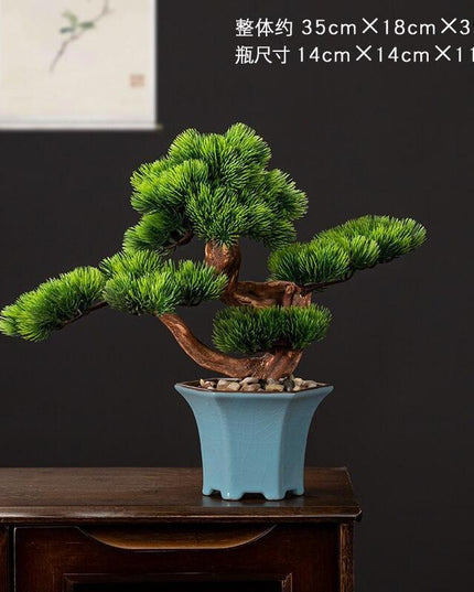 Prosperity Emblem Chinese Pine Bonsai - A Luxurious Symbol of Wealth and Abundance