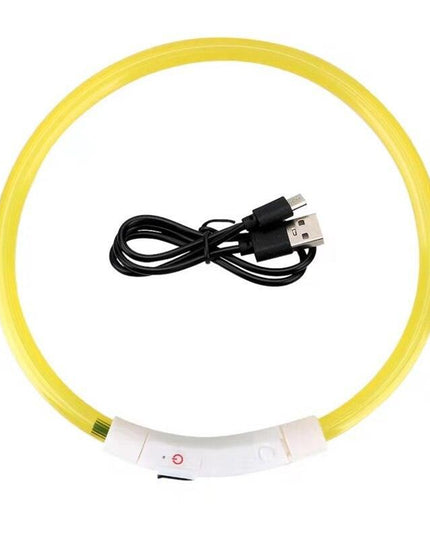 Illuminated USB Rechargeable Dog Collar for Optimal Night Safety and Visibility