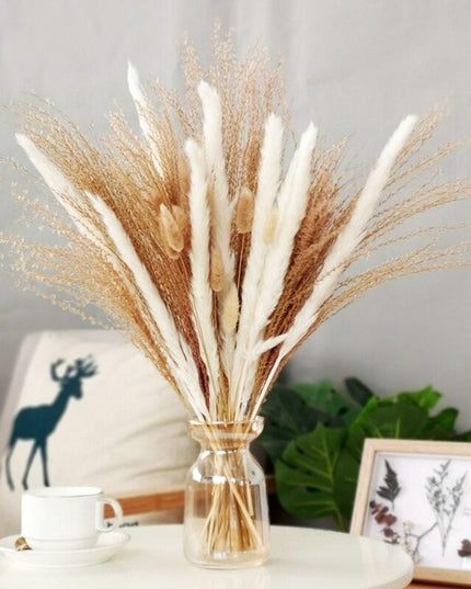 Chic 30-Piece Natural Dried Pampas Grass Rabbit Tail Bundle for Stylish Home Decor