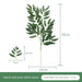 Luxury Willow Foliage: Exquisite Greenery for Sophisticated Home Interiors