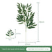 Opulent Willow Leaves: Sophisticated Greenery for Luxurious Home Accents