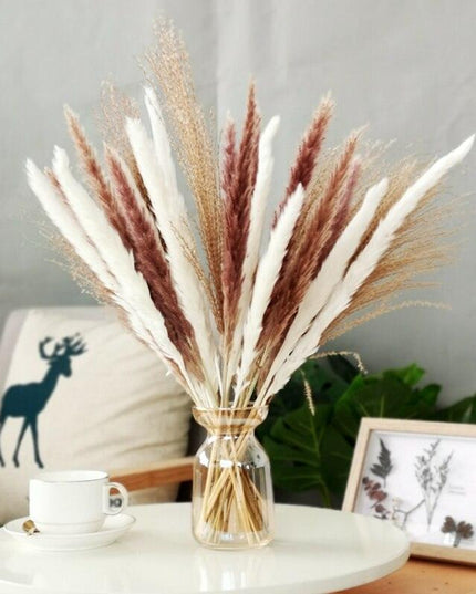 Chic 30-Piece Natural Dried Pampas Grass Rabbit Tail Bundle for Stylish Home Decor