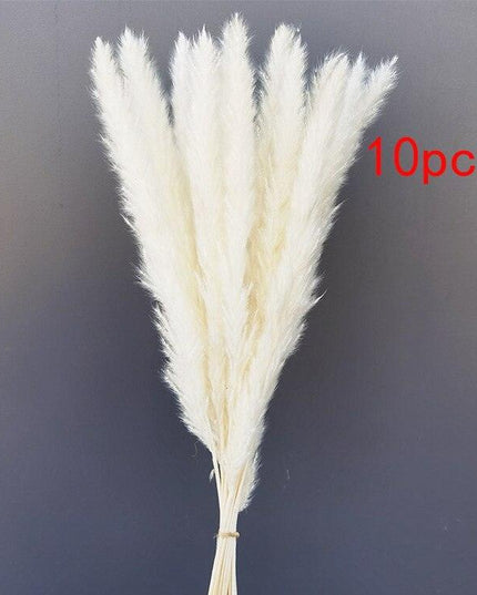 Boho-Inspired Pampas Grass Arrangement: Perfect for Weddings and Home Styling