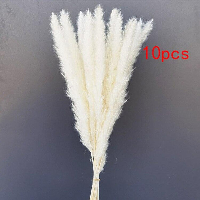 Boho-Inspired Pampas Grass Arrangement: Perfect for Weddings and Home Styling