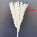 Boho Farmhouse Decor: Dried Pampas Grass Bouquet for Wedding & Home