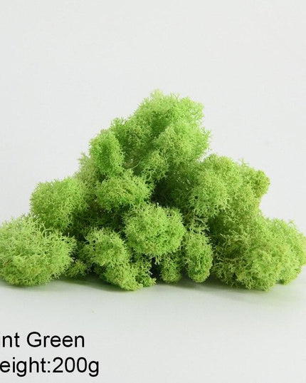 Timeless Greenery Art Creation Kit - Eternal Moss & Custom Grass Mix - 200g