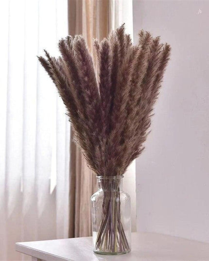 Timeless Elegance - Vibrant Color and White Pampas Grass Bouquet with 15 Stems