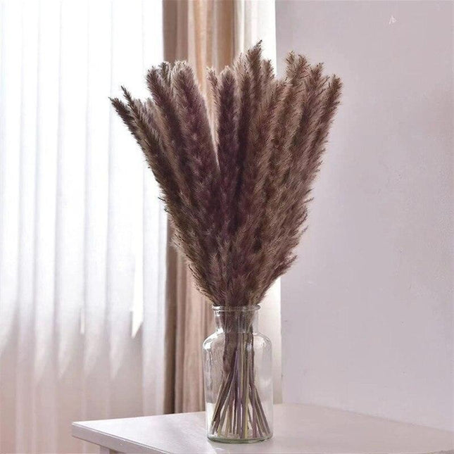 Timeless Elegance - Vibrant Color and White Pampas Grass Bouquet with 15 Stems