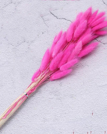 Timeless Elegance Pampas Grass Arrangement: A Chic Addition to Your Home Decor