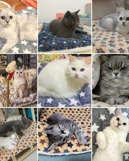 Plush Coral Velvet Pet Blanket - Ultimate Comfort for Dogs and Cats