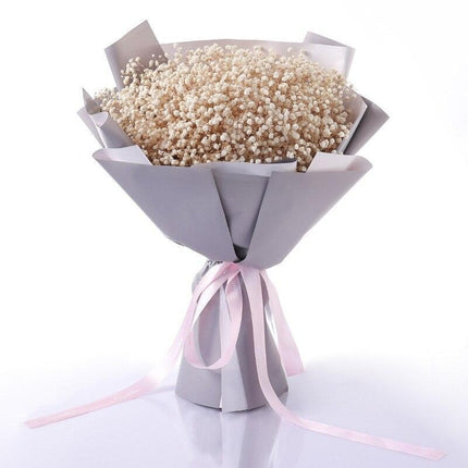 Eternal Gypsophila Bliss: Preserved Floral Wonder for Lasting Memories