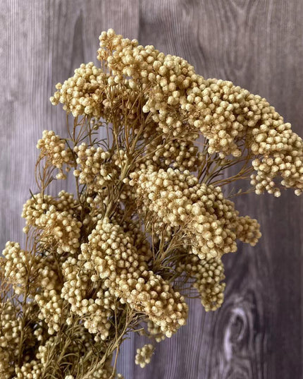 Timeless Treasures: Preserved Millet Flowers for Elegant Wedding Decor