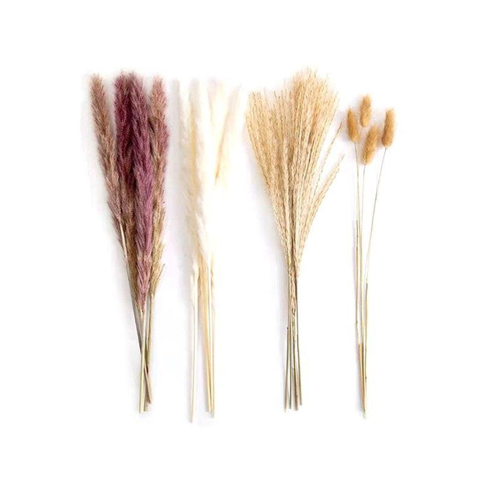70-Piece Small Reed Rabbit Grass and Mixed Dried Flower Bundle - Ideal for Wedding, Party, and Home Decor