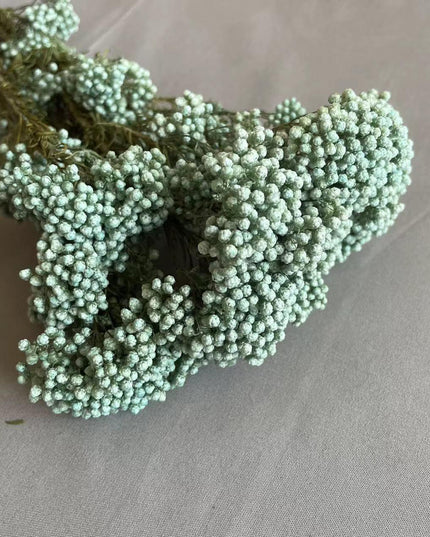 Timeless Treasures: Preserved Millet Flowers for Elegant Wedding Decor