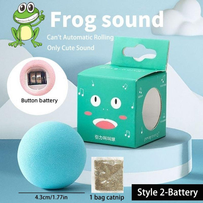 Automatic Cat Toy for Interactive Indoor Fun and Training
