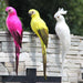 Realistic Parrot Garden Sculpture - Vibrant Feathered Outdoor Decor