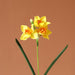 Luxurious Silk Narcissus Flower Arrangement: Elegant Charm for Sophisticated Interiors