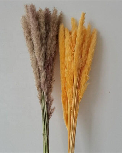 Timeless Elegance Pampas Grass Arrangement: A Chic Addition to Your Home Decor