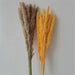 Elegant Pampas Grass Large Bouquet - Premium Dried Flower Arrangement for Timeless Home Decor