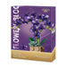 Blue Orchid Blooming Building Set for Romantic Home Decor