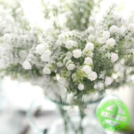 Timeless White Dried Babysbreath Stems - Perfect for Elegant Weddings and Crafting
