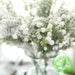 Elegant White Dried Babysbreath Flower Stems - Ideal for Wedding Decor and Crafting