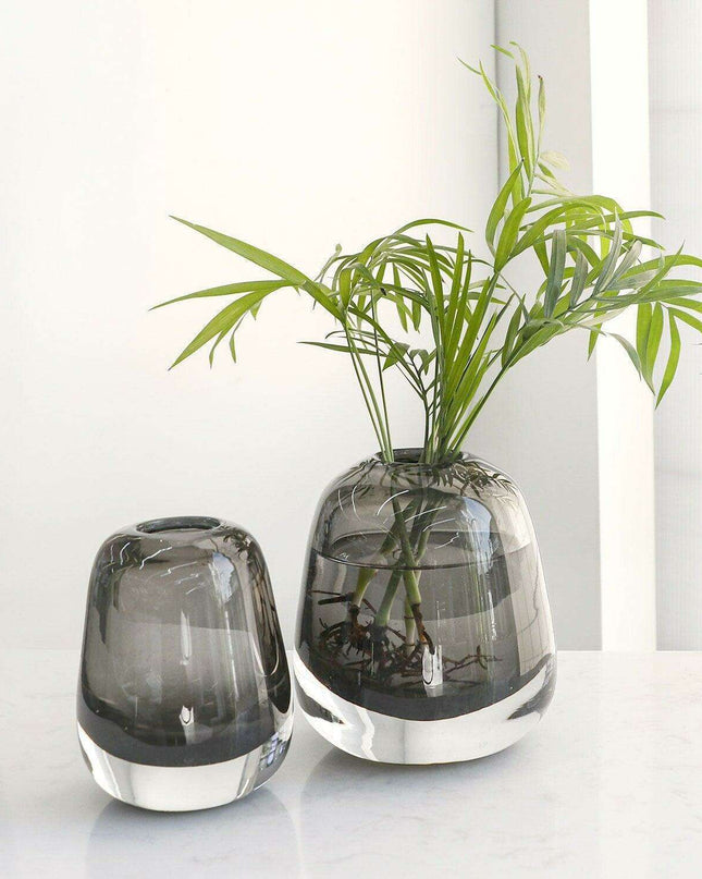 Elegant Nordic Glass Vase for Timeless Home Decor