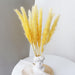 Elegant Natural Dried Pampas Grass Bunch for Chic Interior Decor