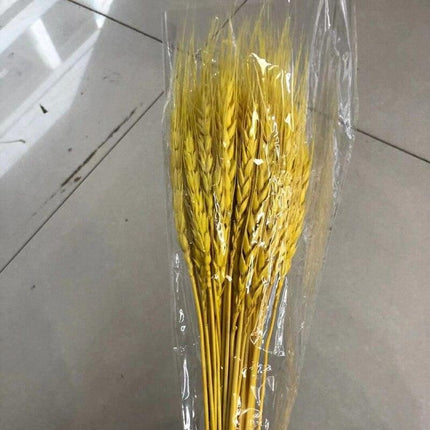 Golden Wheat Ear Dried Bouquet Collection - 45 Natural Stalks