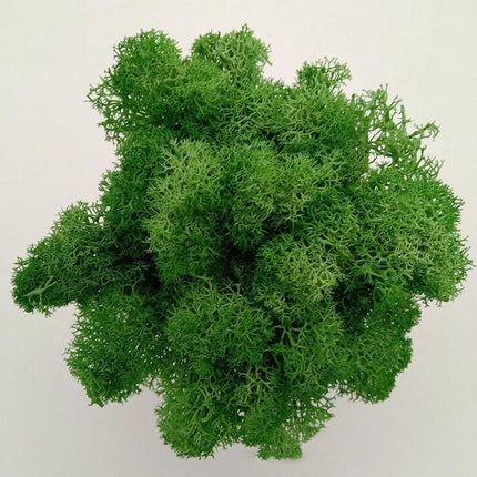 Timeless Elegance Moss Collection: Luxurious Artificial Plants for Upscale Home Decor