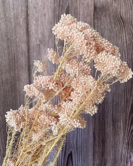 Timeless Treasures: Preserved Millet Flowers for Elegant Wedding Decor