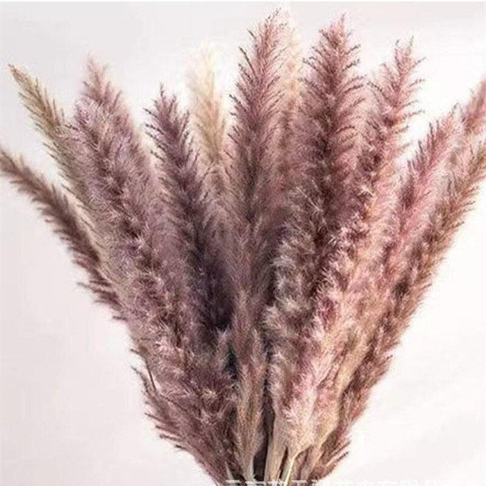 Timeless Elegance - Vibrant Color and White Pampas Grass Bouquet with 15 Stems