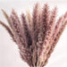 Timeless Elegance - Vibrant Color and White Pampas Grass Bouquet with 15 Stems