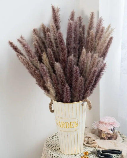 Timeless Pampas Reed & Whisk Dust Dried Flowers Collection for Elegant Home Decor & Events