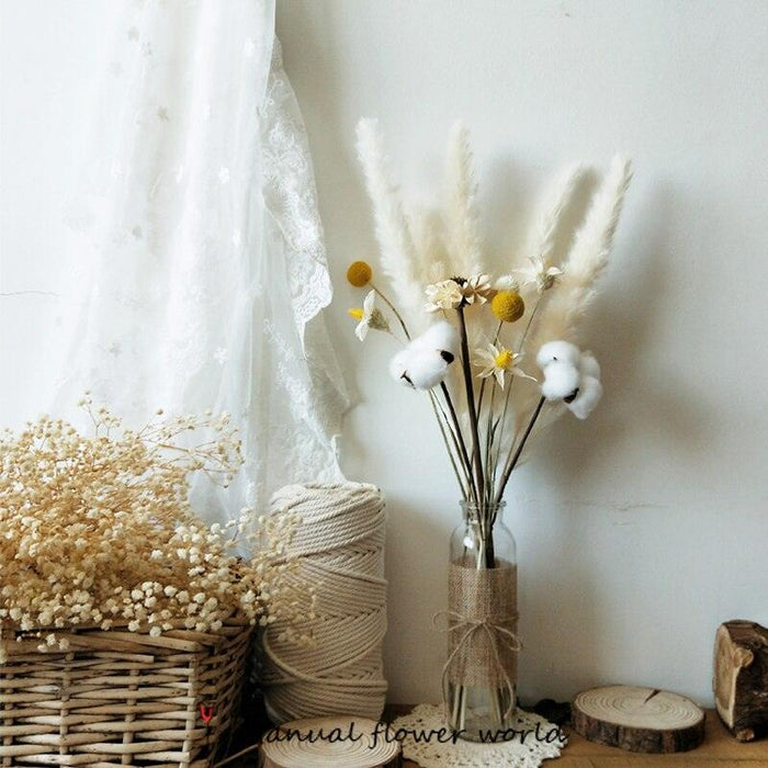 Elegant Natural Dried Pampas Grass Bunch for Chic Interior Decor