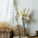 Elegant Natural Dried Pampas Grass Bundle for Stylish Indoor Decoration