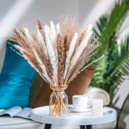 Luxurious Small Pampas Grass Dried Flower Set for Chic Home Decor