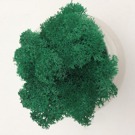 Timeless Elegance Moss Collection: Luxurious Artificial Plants for Upscale Home Decor