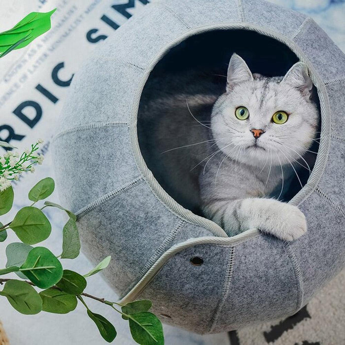 Shell Cat Retreat: Transforming Plush Bed & Tunnel Haven