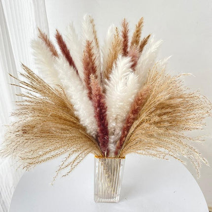 Chic 60-Piece Dried Pampas Grass Stems for Stylish Home and Wedding Arrangements