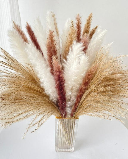 Chic 60-Piece Dried Pampas Grass Stems for Stylish Home and Wedding Arrangements