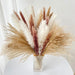 Natural Dried Pampas Grass Bundle - Set of 60 for Elegant Home and Wedding Decor