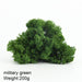Lively Greenery Wall Decor Set with Eternal Flowers and Moss - 200g
