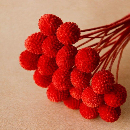 Elegant Golden Ball Dried Flower Set - 20pcs for Home and Wedding Decoration