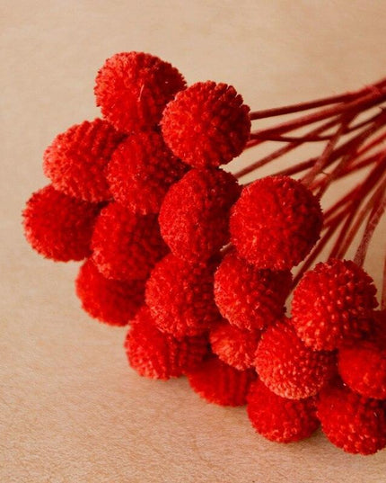 Elegant Golden Ball Dried Flower Set - 20pcs for Home and Wedding Decoration