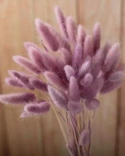 Rustic Boho Bunny Tail Dried Flower Arrangement for Weddings and Home Decor