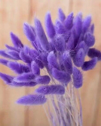 Rustic Boho Bunny Tail Dried Flower Arrangement for Weddings and Home Decor